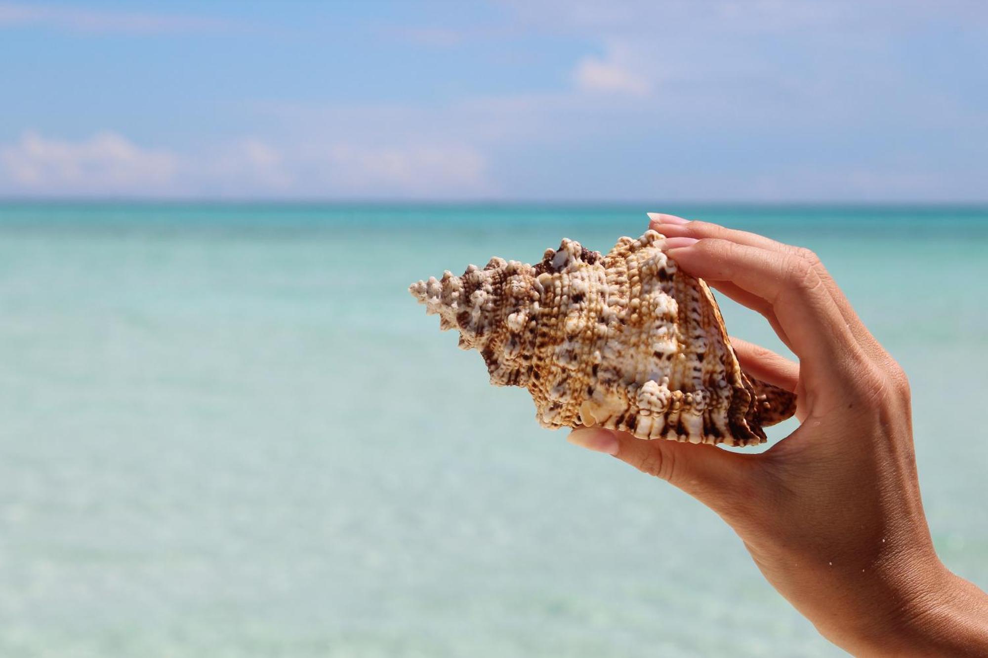Mamello Beach Club Maldives Feridhoo Eksteriør billede
