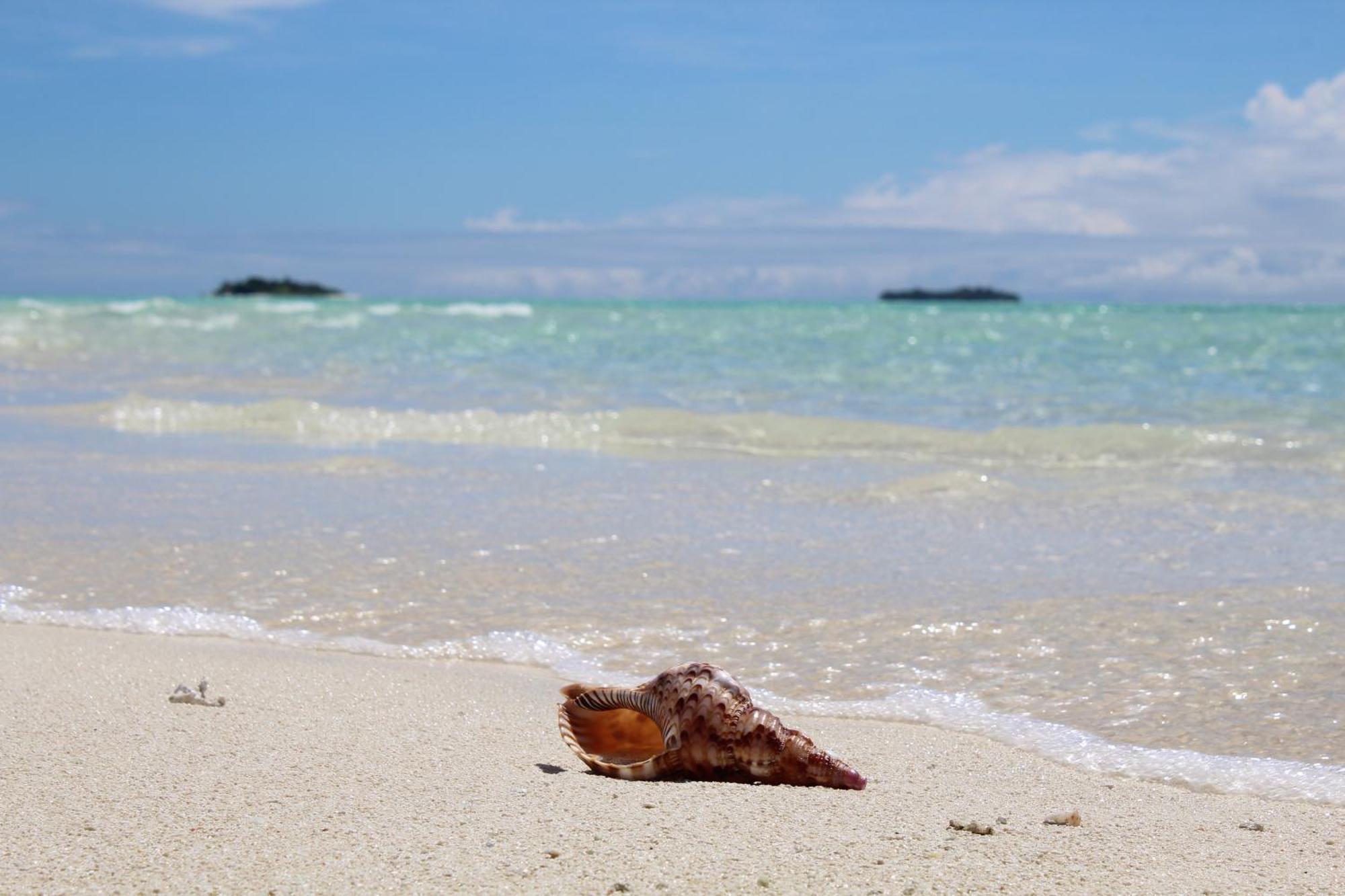 Mamello Beach Club Maldives Feridhoo Eksteriør billede