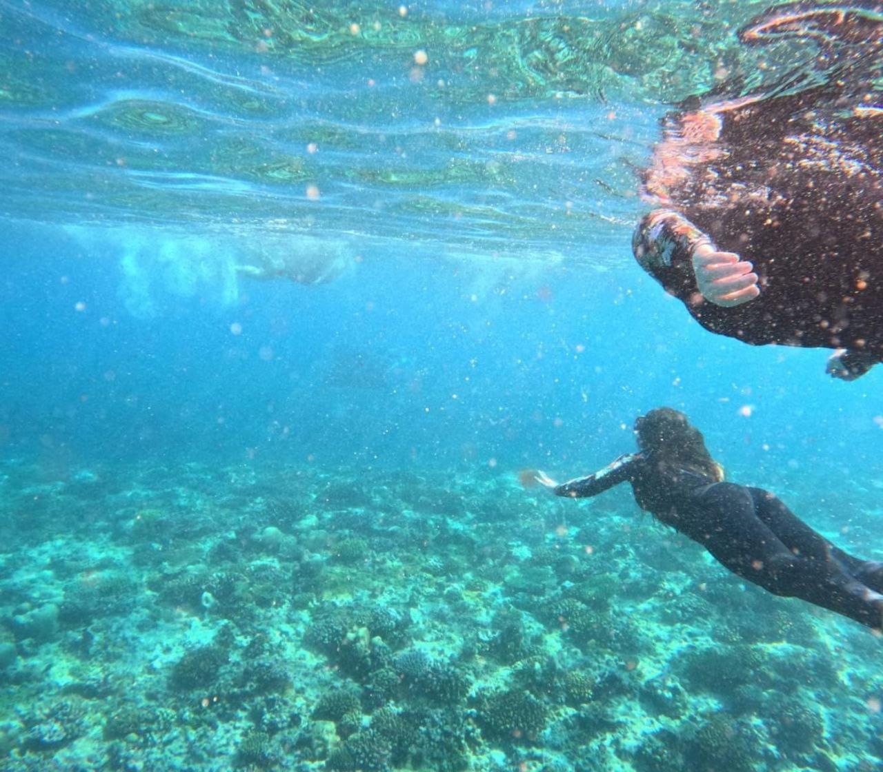 Mamello Beach Club Maldives Feridhoo Eksteriør billede