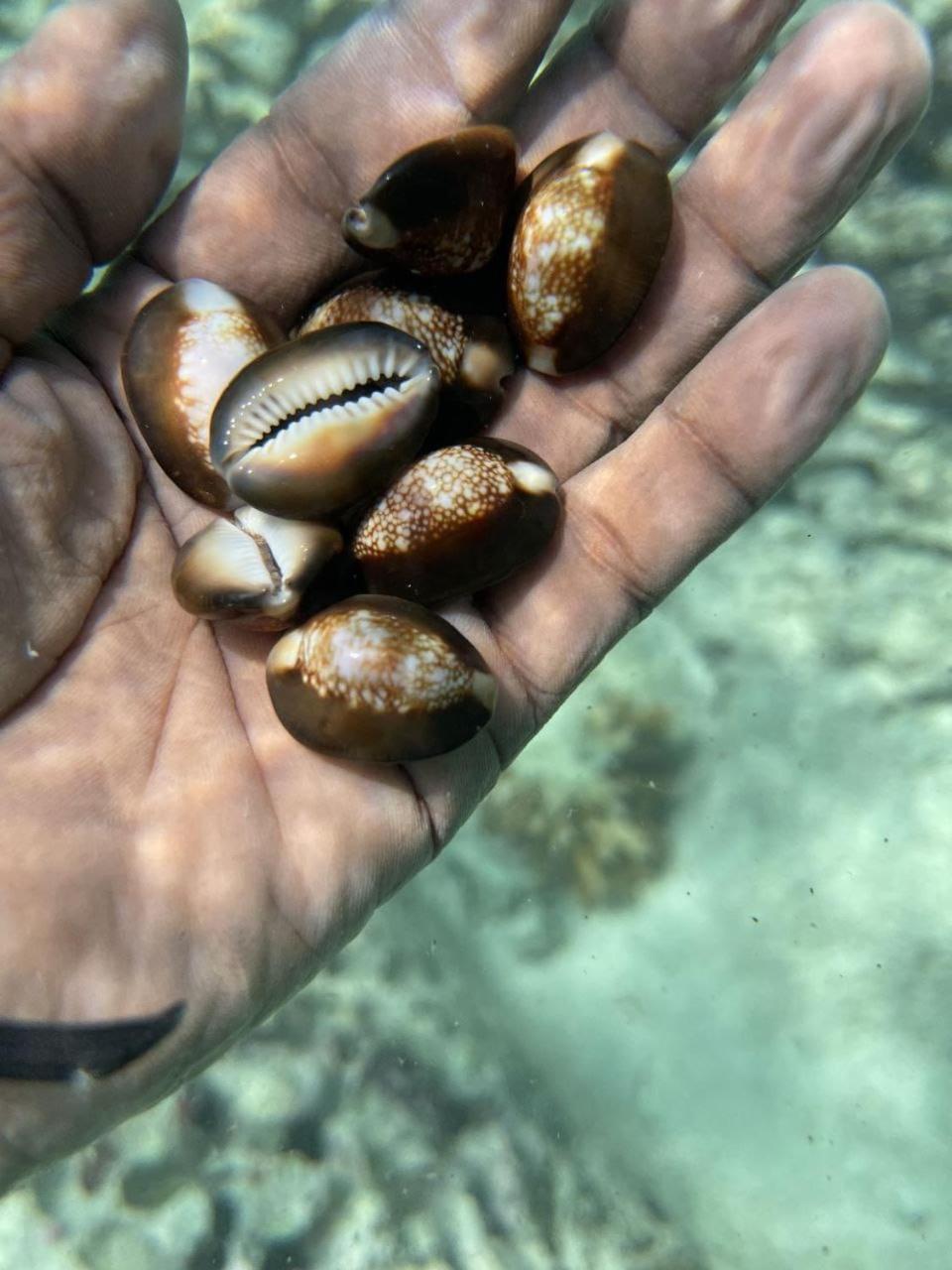 Mamello Beach Club Maldives Feridhoo Eksteriør billede
