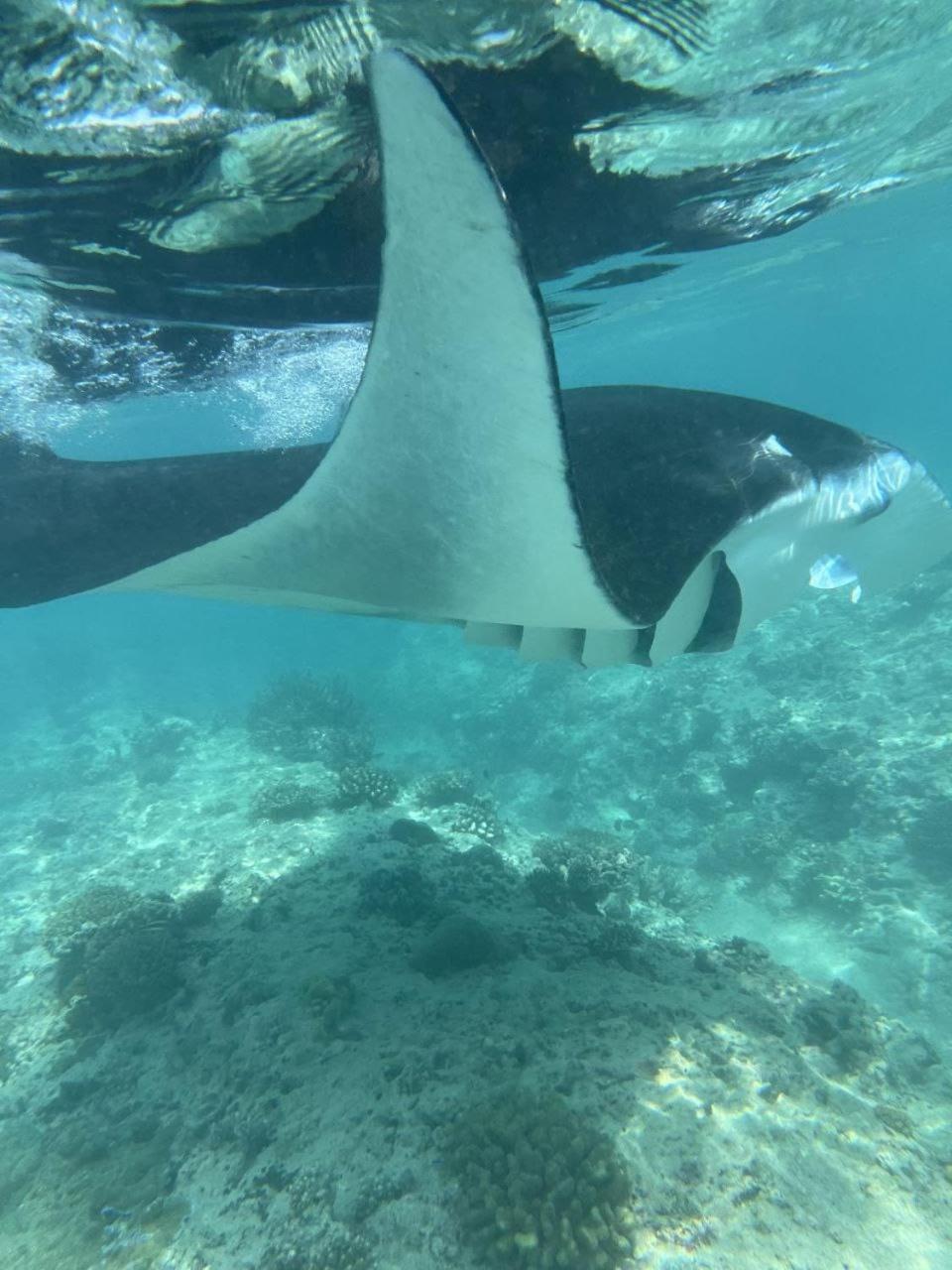 Mamello Beach Club Maldives Feridhoo Eksteriør billede
