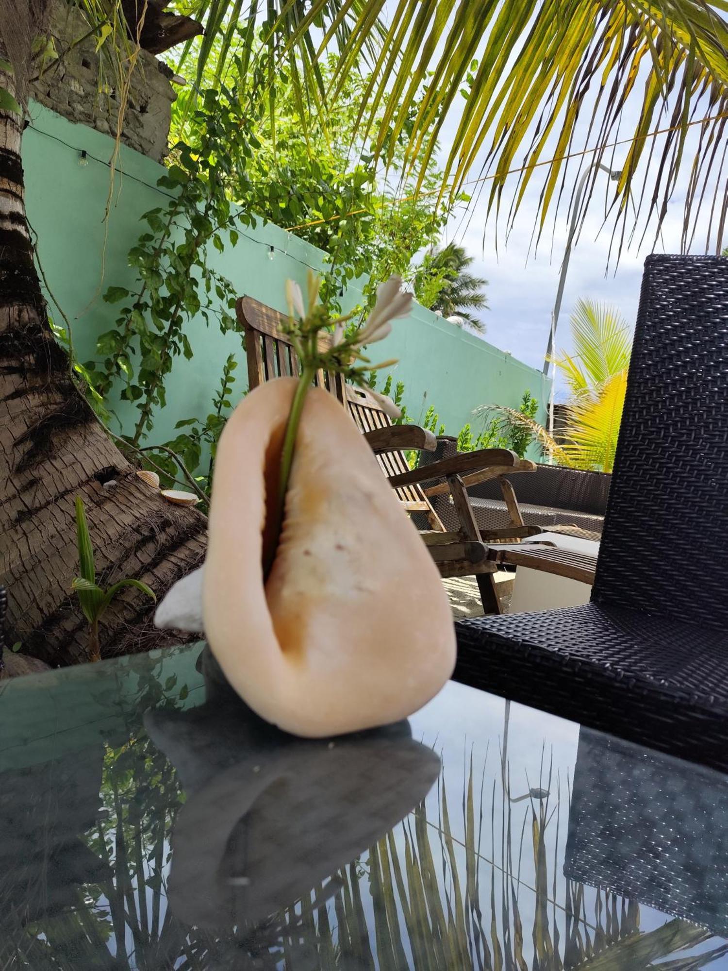 Mamello Beach Club Maldives Feridhoo Eksteriør billede